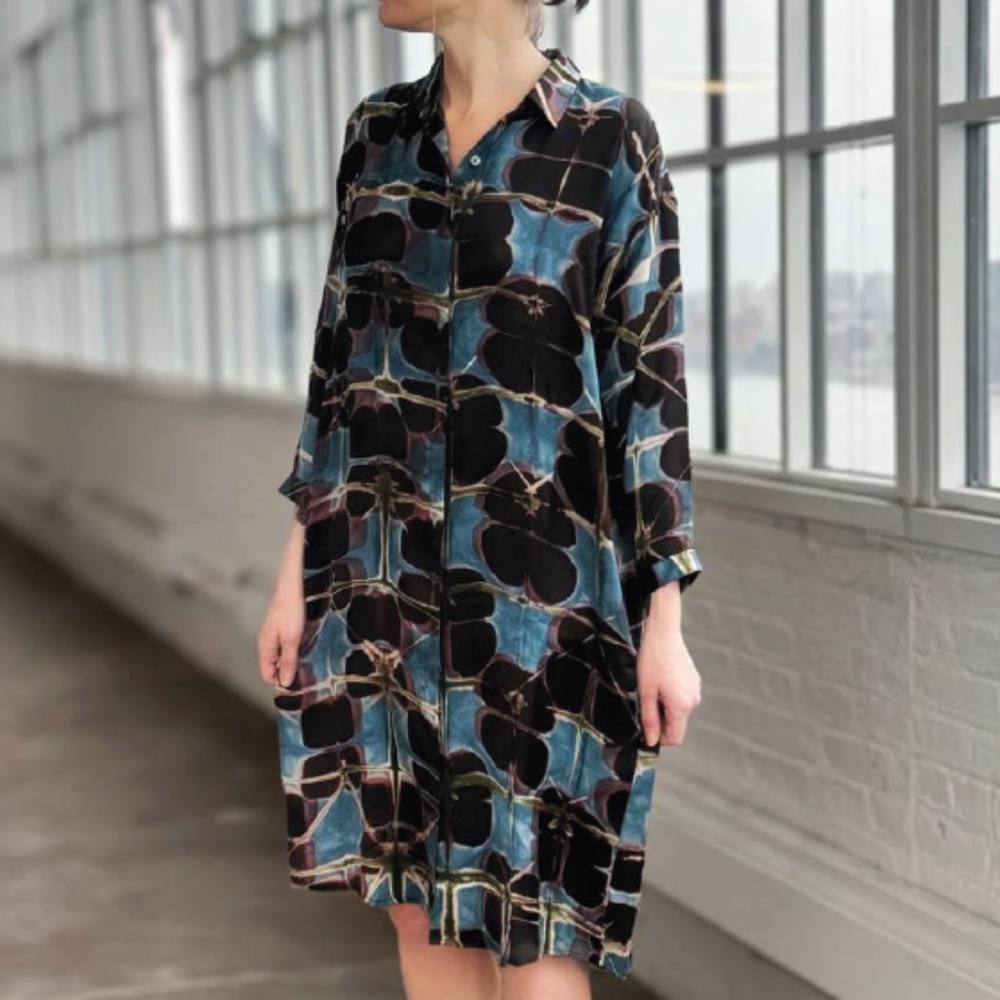 Raag Button Down Dress